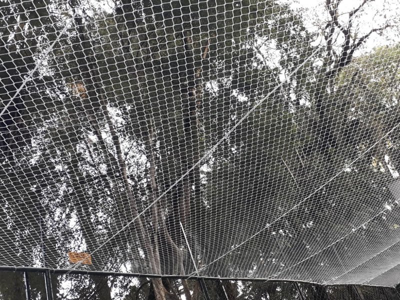 Telas de Segurança para Janelas Piracicaba Redes de Proteção Piracicaba